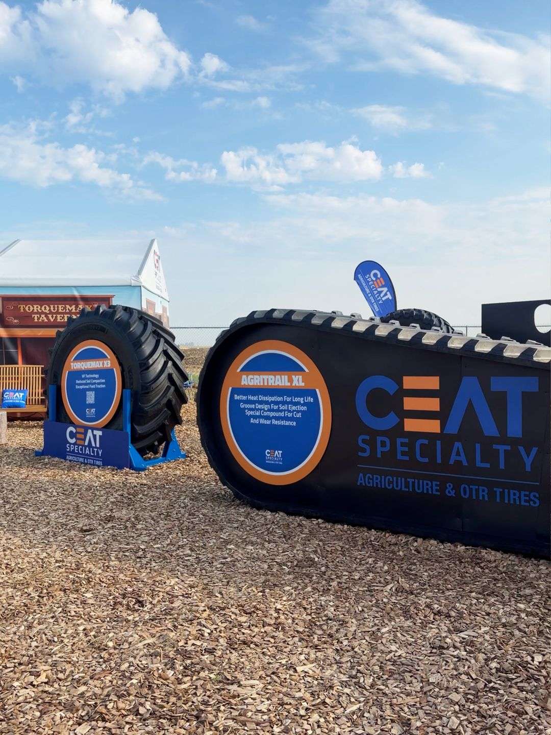 card-image