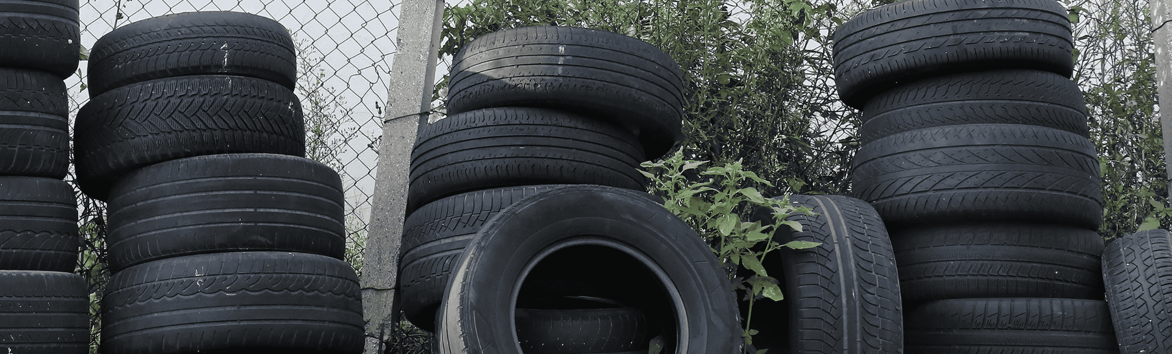 bannerImage