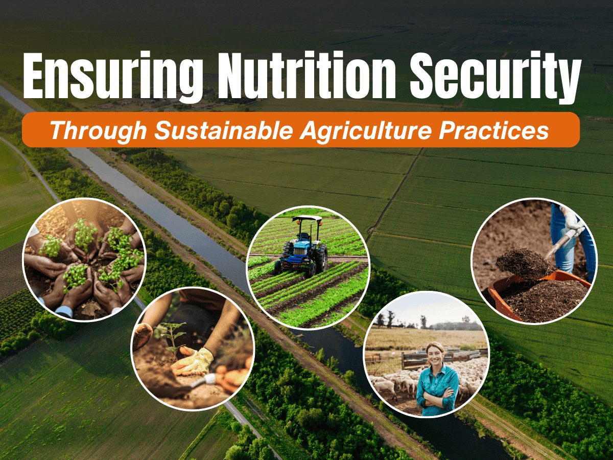 Managing Soil Compaction in Agriculture: An Ongoing Battle