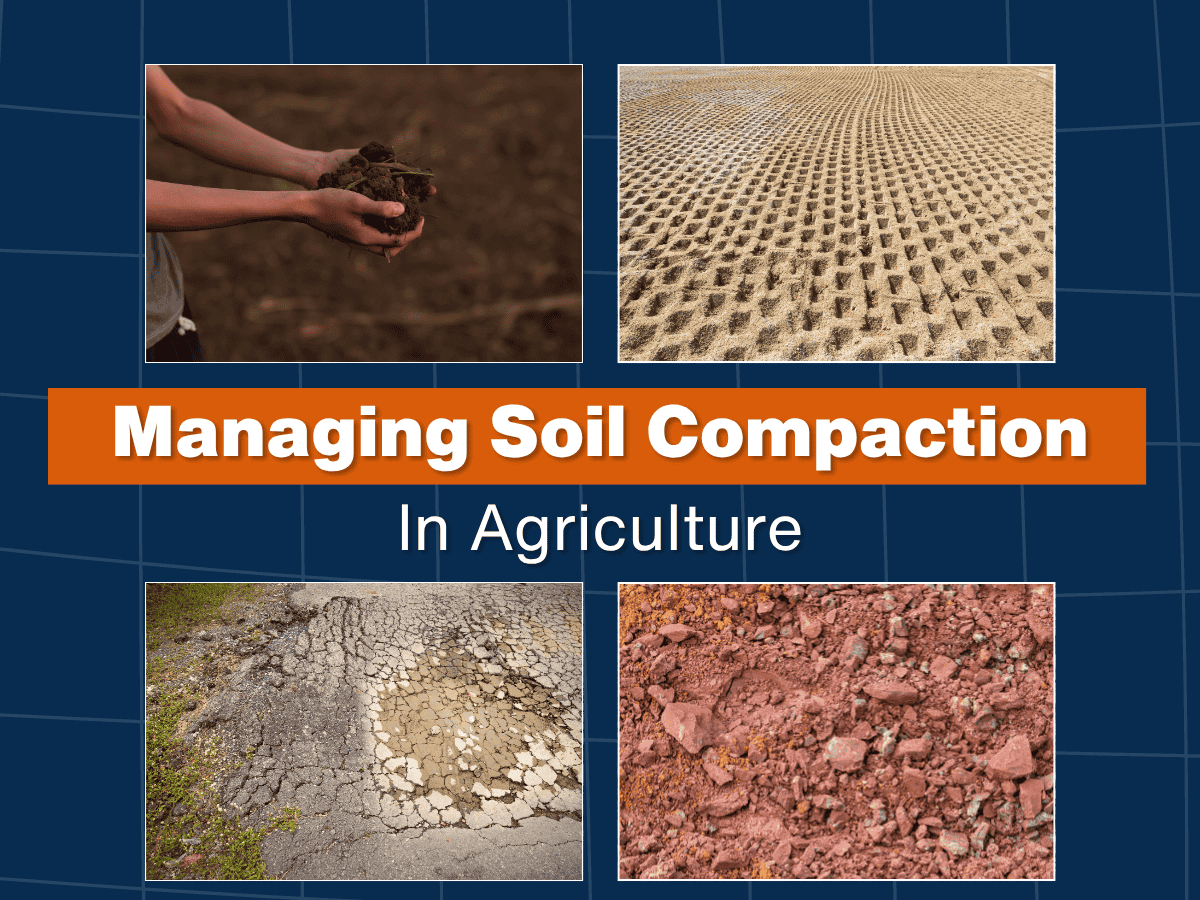 Managing Soil Compaction in Agriculture: An Ongoing Battle