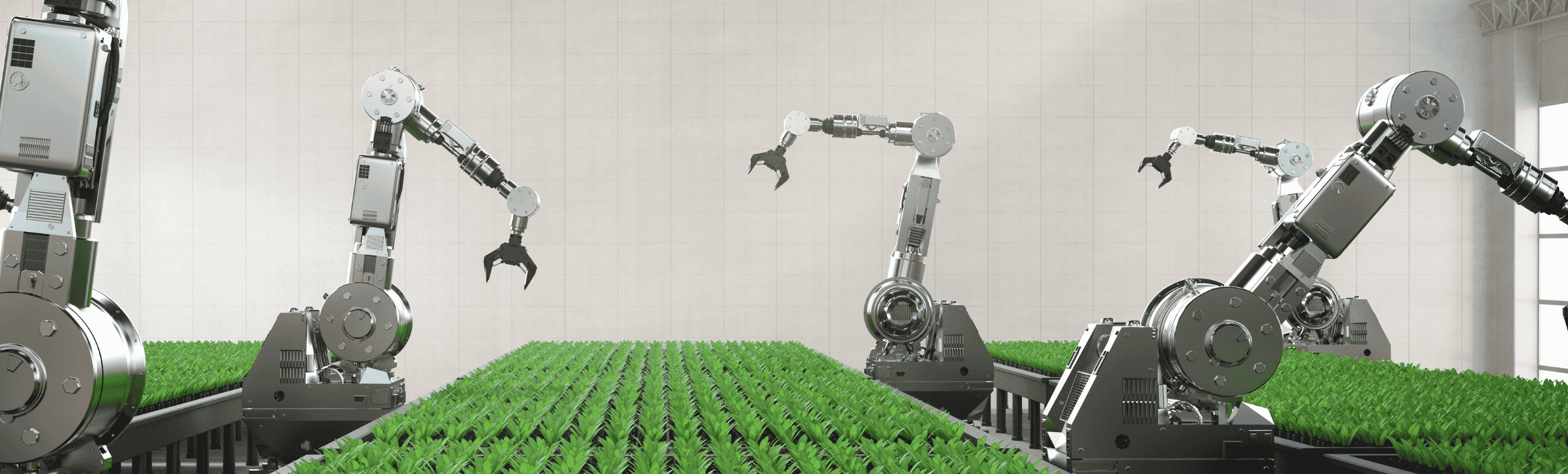 bannerImage