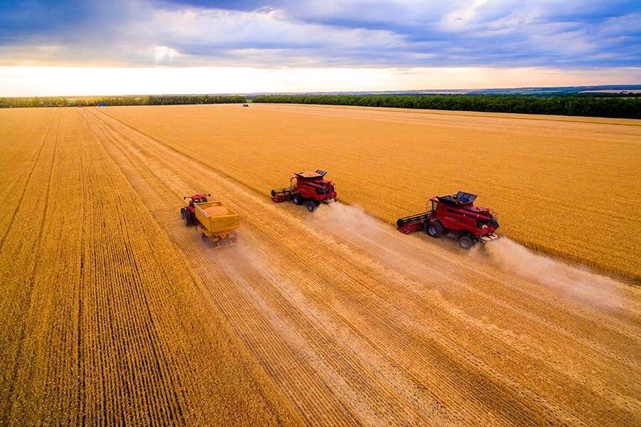Harvester Tyre Image